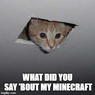 Ceiling Cat | WHAT DID YOU SAY 'BOUT MY MINECRAFT | image tagged in memes,ceiling cat | made w/ Imgflip meme maker