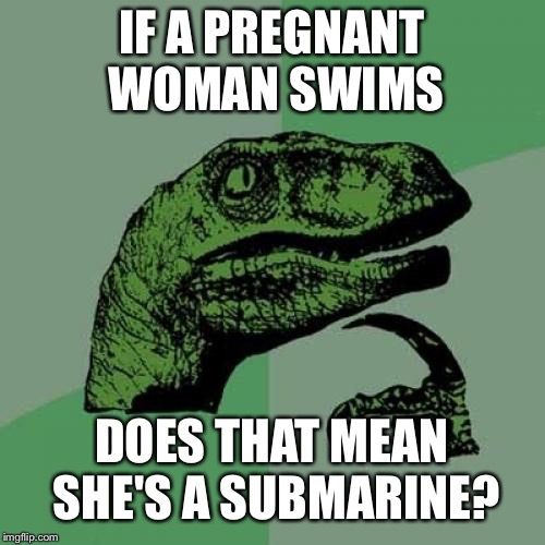 Philosoraptor Meme | IF A PREGNANT WOMAN SWIMS; DOES THAT MEAN SHE'S A SUBMARINE? | image tagged in memes,philosoraptor | made w/ Imgflip meme maker