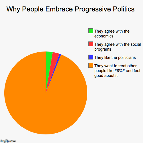 Why People Embrace Progressive Politics | They want to treat other people like #$%# and feel good about it, They like the politicians, They  | image tagged in funny,pie charts | made w/ Imgflip chart maker