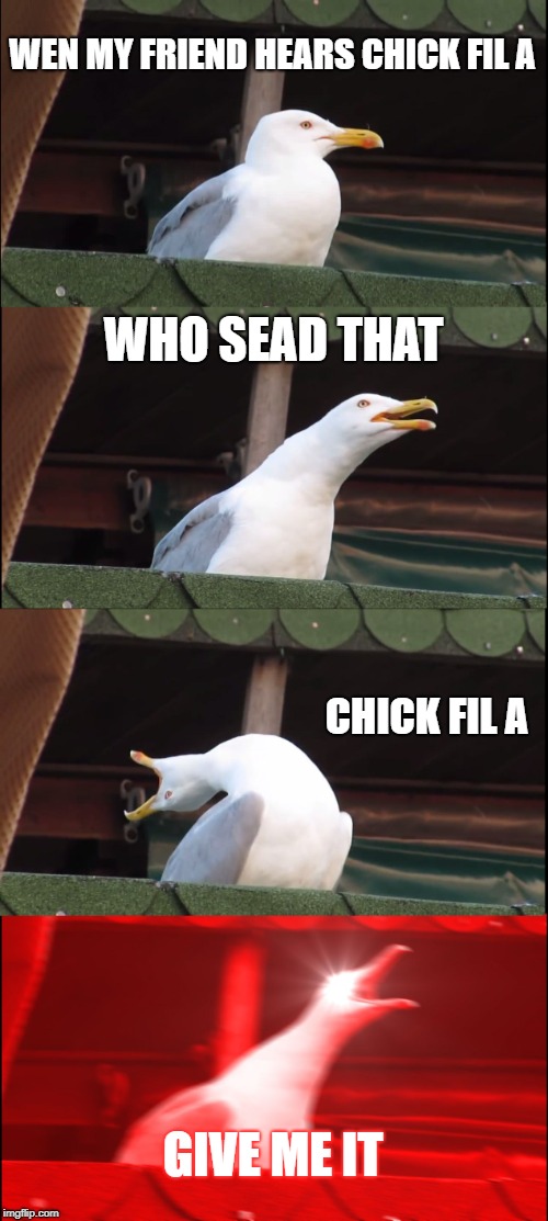 Inhaling Seagull Meme | WEN MY FRIEND HEARS CHICK FIL A; WHO SEAD THAT; CHICK FIL A; GIVE ME IT | image tagged in memes,inhaling seagull | made w/ Imgflip meme maker