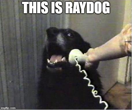 Yes this is dog | THIS IS RAYDOG | image tagged in yes this is dog | made w/ Imgflip meme maker