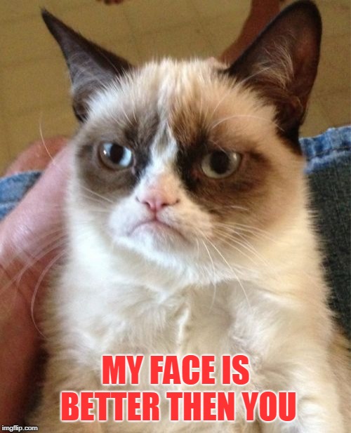 Grumpy Cat Meme | MY FACE IS BETTER THEN YOU | image tagged in memes,grumpy cat | made w/ Imgflip meme maker