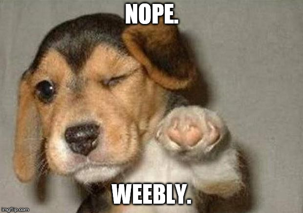Winking Dog | NOPE. WEEBLY. | image tagged in winking dog | made w/ Imgflip meme maker