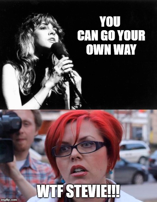 YOU CAN GO YOUR OWN WAY WTF STEVIE!!! | image tagged in angry feminist | made w/ Imgflip meme maker
