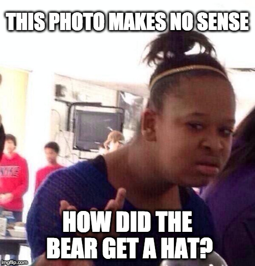 Black Girl Wat Meme | THIS PHOTO MAKES NO SENSE HOW DID THE BEAR GET A HAT? | image tagged in memes,black girl wat | made w/ Imgflip meme maker