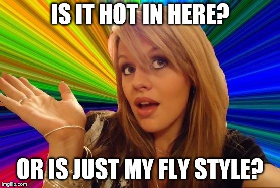 Dumb Blonde Meme | IS IT HOT IN HERE? OR IS JUST MY FLY STYLE? | image tagged in memes,dumb blonde | made w/ Imgflip meme maker