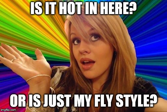 Dumb Blonde | IS IT HOT IN HERE? OR IS JUST MY FLY STYLE? | image tagged in memes,dumb blonde | made w/ Imgflip meme maker