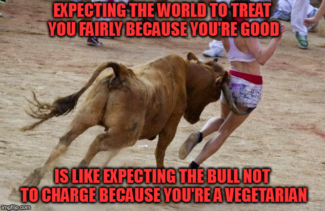 Olé! | EXPECTING THE WORLD TO TREAT YOU FAIRLY BECAUSE YOU'RE GOOD; IS LIKE EXPECTING THE BULL NOT TO CHARGE BECAUSE YOU'RE A VEGETARIAN | image tagged in memes,expectation vs reality | made w/ Imgflip meme maker