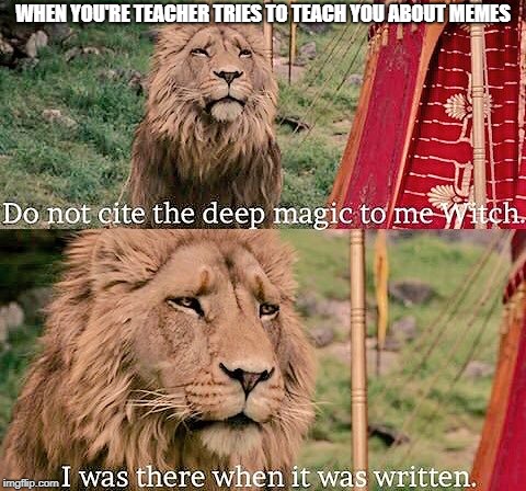 Aslan Magic | WHEN YOU'RE TEACHER TRIES TO TEACH YOU ABOUT MEMES | image tagged in aslan magic | made w/ Imgflip meme maker