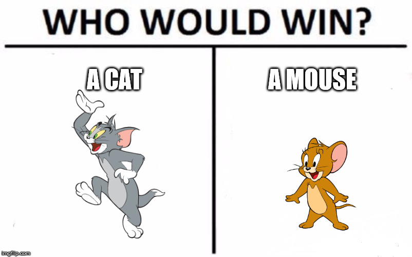 Who Would Win? | A CAT; A MOUSE | image tagged in memes,who would win | made w/ Imgflip meme maker