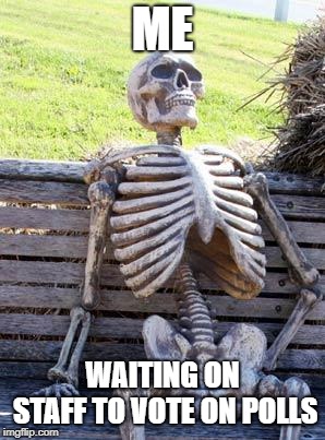 Waiting Skeleton Meme | ME; WAITING ON STAFF TO VOTE ON POLLS | image tagged in memes,waiting skeleton | made w/ Imgflip meme maker