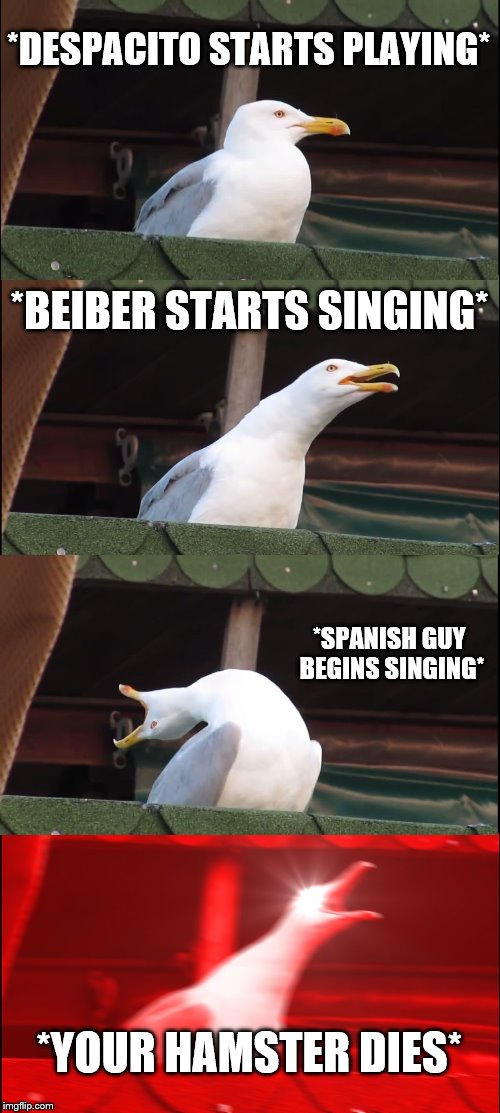 Inhaling Seagull Meme | *DESPACITO STARTS PLAYING*; *BEIBER STARTS SINGING*; *SPANISH GUY BEGINS SINGING*; *YOUR HAMSTER DIES* | image tagged in memes,inhaling seagull | made w/ Imgflip meme maker