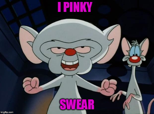 Pinky and the Brain | I PINKY SWEAR | image tagged in pinky and the brain | made w/ Imgflip meme maker
