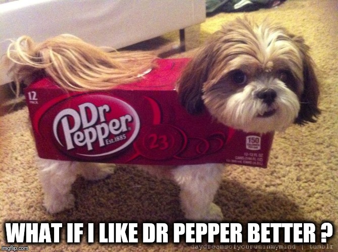 Dr Pepper Costume | WHAT IF I LIKE DR PEPPER BETTER ? | image tagged in dr pepper costume | made w/ Imgflip meme maker