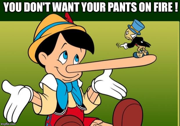 Liar | YOU DON'T WANT YOUR PANTS ON FIRE ! | image tagged in liar | made w/ Imgflip meme maker