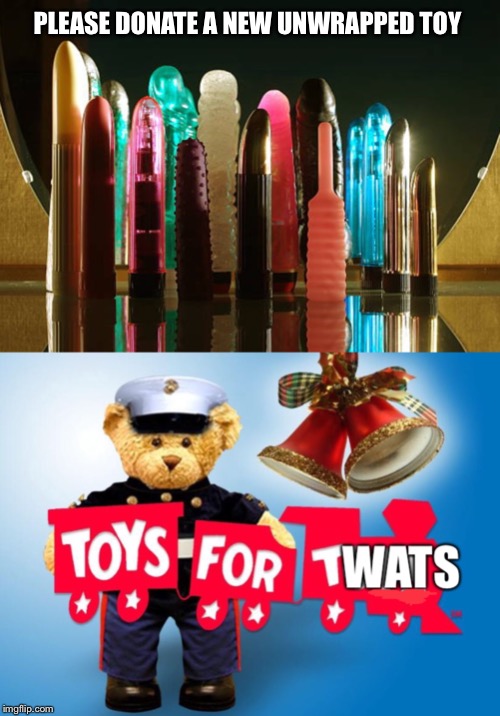 It’s that time of year again... | PLEASE DONATE A NEW UNWRAPPED TOY | image tagged in toys for tots,funny | made w/ Imgflip meme maker