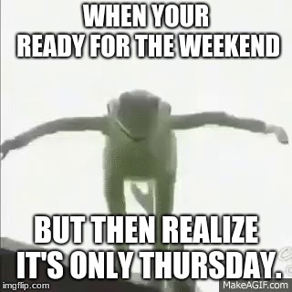 suicidal kermit | WHEN YOUR READY FOR THE WEEKEND; BUT THEN REALIZE IT'S ONLY THURSDAY. | image tagged in funny | made w/ Imgflip meme maker