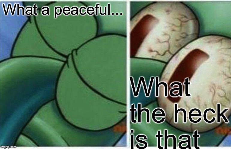 Squidward | What a peaceful... What the heck is that | image tagged in squidward | made w/ Imgflip meme maker