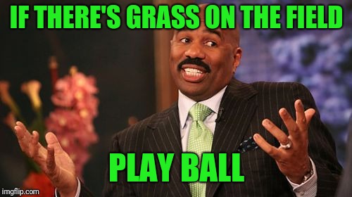 Steve Harvey Meme | IF THERE'S GRASS ON THE FIELD PLAY BALL | image tagged in memes,steve harvey | made w/ Imgflip meme maker