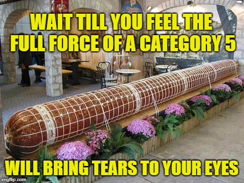WAIT TILL YOU FEEL THE FULL FORCE OF A CATEGORY 5 WILL BRING TEARS TO YOUR EYES | made w/ Imgflip meme maker
