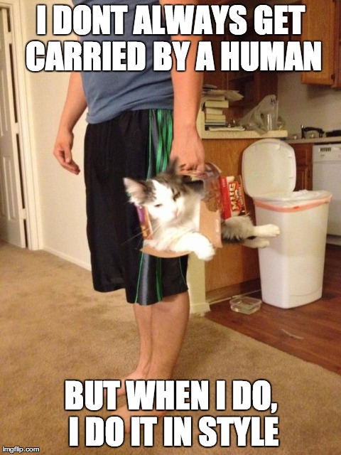 image tagged in memes,cats,the most interesting cat in the world,AdviceAnimals | made w/ Imgflip meme maker