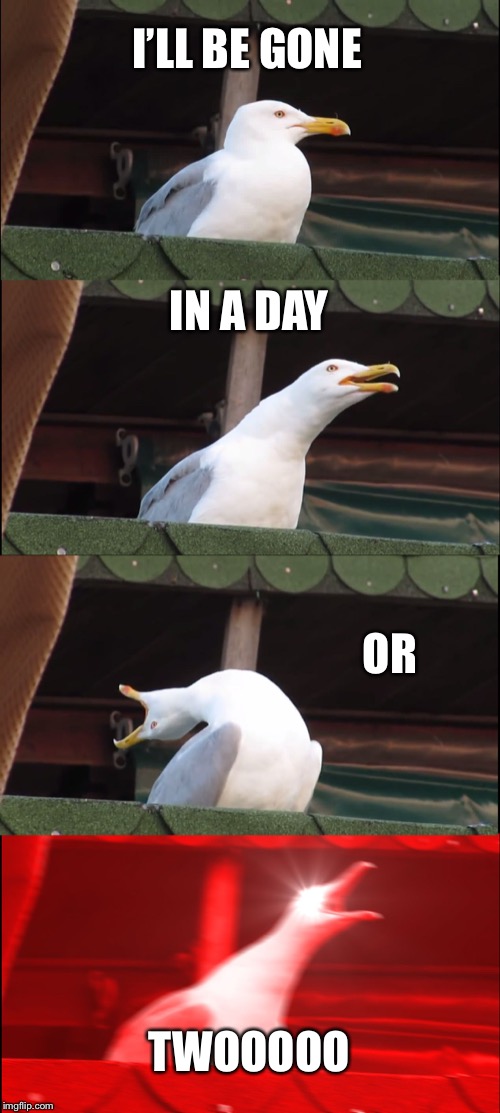 Inhaling Seagull Meme | I’LL BE GONE; IN A DAY; OR; TWOOOOO | image tagged in memes,inhaling seagull | made w/ Imgflip meme maker