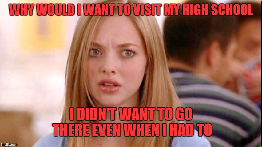Dumb Blonde | WHY WOULD I WANT TO VISIT MY HIGH SCHOOL I DIDN'T WANT TO GO THERE EVEN WHEN I HAD TO | image tagged in dumb blonde | made w/ Imgflip meme maker