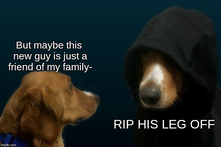 Evil dog meme dog meme | But maybe this new guy is just a friend of my family-; RIP HIS LEG OFF | image tagged in evil dog,memes,dog memes,dog,dogs | made w/ Imgflip meme maker