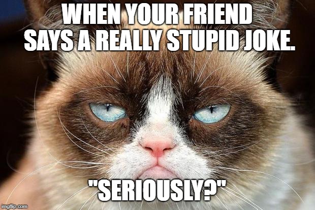 Grumpy Cat Not Amused | WHEN YOUR FRIEND SAYS A REALLY STUPID JOKE. "SERIOUSLY?" | image tagged in memes,grumpy cat not amused,grumpy cat | made w/ Imgflip meme maker
