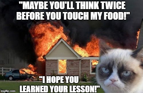 Burn Kitty | "MAYBE YOU'LL THINK TWICE BEFORE YOU TOUCH MY FOOD!"; "I HOPE YOU LEARNED YOUR LESSON!" | image tagged in memes,burn kitty,grumpy cat | made w/ Imgflip meme maker
