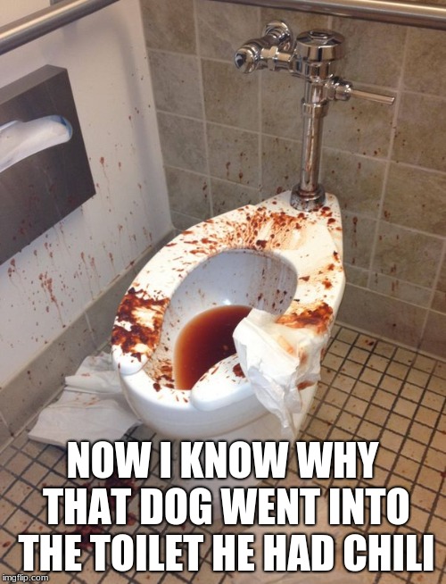 NOW I KNOW WHY THAT DOG WENT INTO THE TOILET HE HAD CHILI | made w/ Imgflip meme maker