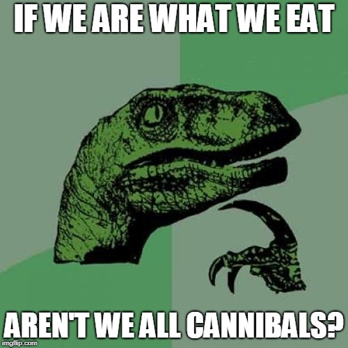 Philosoraptor Meme | IF WE ARE WHAT WE EAT; AREN'T WE ALL CANNIBALS? | image tagged in memes,philosoraptor | made w/ Imgflip meme maker