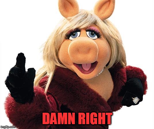Miss Piggy | DAMN RIGHT | image tagged in miss piggy | made w/ Imgflip meme maker