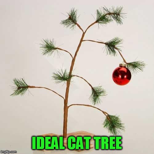 Christmas tree | IDEAL CAT TREE | image tagged in christmas tree | made w/ Imgflip meme maker