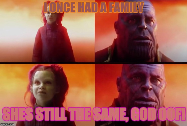 thanos what did it cost | I ONCE HAD A FAMILY; SHES STILL THE SAME, GOD OOF! | image tagged in thanos what did it cost | made w/ Imgflip meme maker