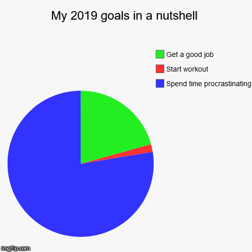 My 2019 goals in a nutshell | Spend time procrastinating, Start workout, Get a good job | image tagged in funny,pie charts | made w/ Imgflip chart maker