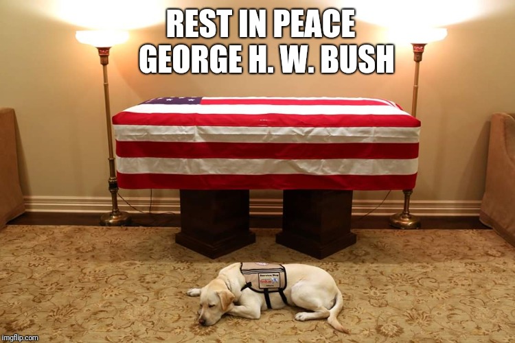 REST IN PEACE 
GEORGE H. W. BUSH | image tagged in president,memorial,political meme,politics | made w/ Imgflip meme maker
