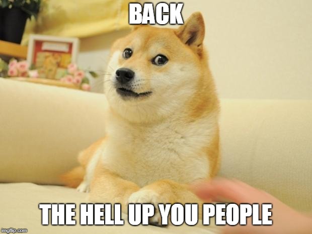 Doge 2 | BACK; THE HELL UP YOU PEOPLE | image tagged in memes,doge 2 | made w/ Imgflip meme maker