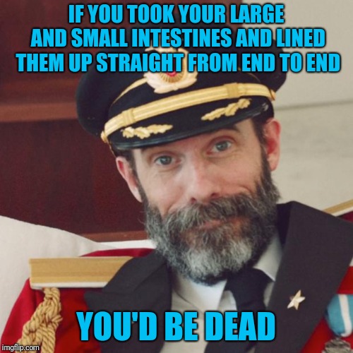Fun Fact! | IF YOU TOOK YOUR LARGE AND SMALL INTESTINES AND LINED THEM UP STRAIGHT FROM END TO END; YOU'D BE DEAD | image tagged in captain obvious,memes | made w/ Imgflip meme maker