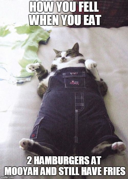 Fat Cat | HOW YOU FELL WHEN YOU EAT; 2 HAMBURGERS AT MOOYAH AND STILL HAVE FRIES | image tagged in memes,fat cat | made w/ Imgflip meme maker