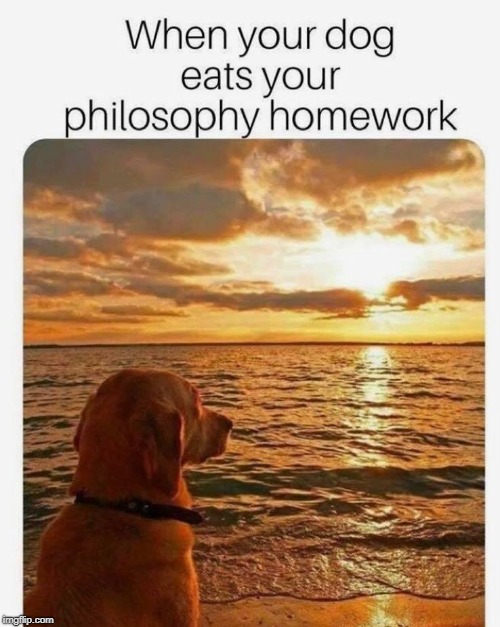 Stolen. Classic memes.  | image tagged in dogs,philosophy,funny animals,deep thoughts,stolen memes | made w/ Imgflip meme maker