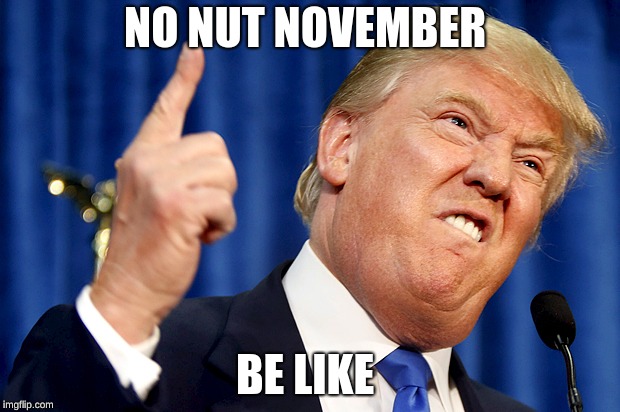 Donald Trump | NO NUT NOVEMBER; BE LIKE | image tagged in donald trump | made w/ Imgflip meme maker