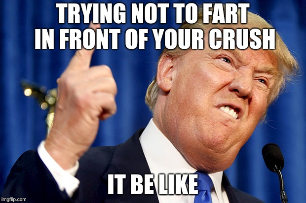 Donald Trump | TRYING NOT TO FART IN FRONT OF YOUR CRUSH; IT BE LIKE | image tagged in donald trump | made w/ Imgflip meme maker