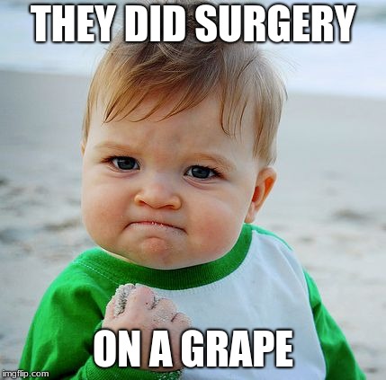 Sucess Baby | THEY DID SURGERY; ON A GRAPE | image tagged in sucess baby | made w/ Imgflip meme maker