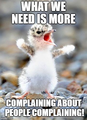 Complainer Bird | WHAT WE NEED IS MORE; COMPLAINING ABOUT PEOPLE COMPLAINING! | image tagged in complainer bird | made w/ Imgflip meme maker
