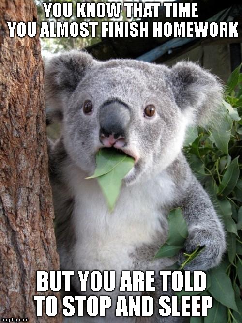 Surprised Koala Meme |  YOU KNOW THAT TIME YOU ALMOST FINISH HOMEWORK; BUT YOU ARE TOLD TO STOP AND SLEEP | image tagged in memes,surprised koala | made w/ Imgflip meme maker