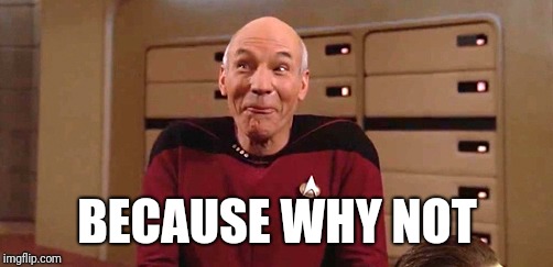 picard laugh | BECAUSE WHY NOT | image tagged in picard laugh | made w/ Imgflip meme maker