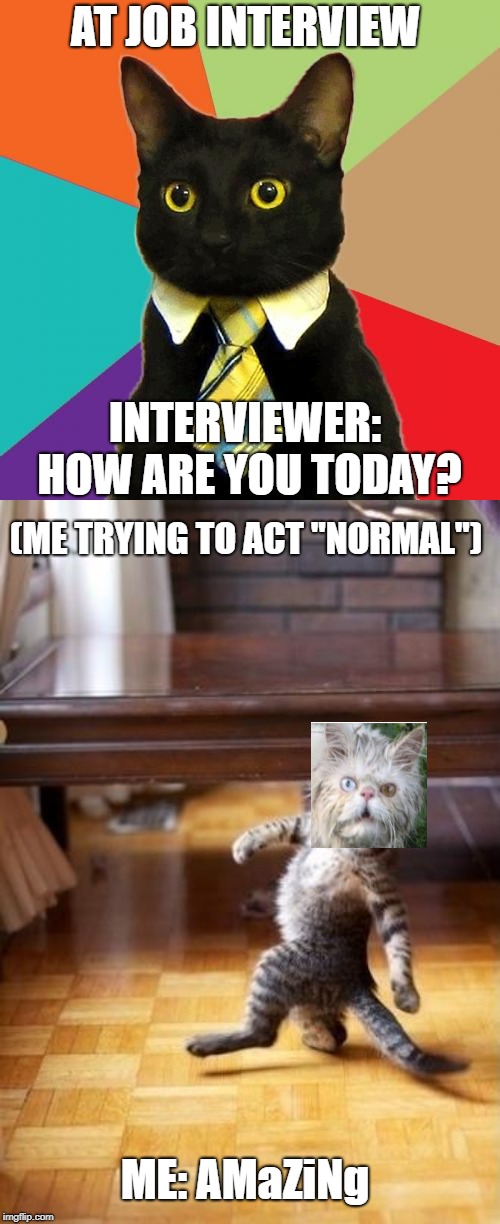 job interview  | AT JOB INTERVIEW; INTERVIEWER: HOW ARE YOU TODAY? (ME TRYING TO ACT "NORMAL"); ME: AMaZiNg | image tagged in memes,business cat,cool cat stroll,awsomeness | made w/ Imgflip meme maker