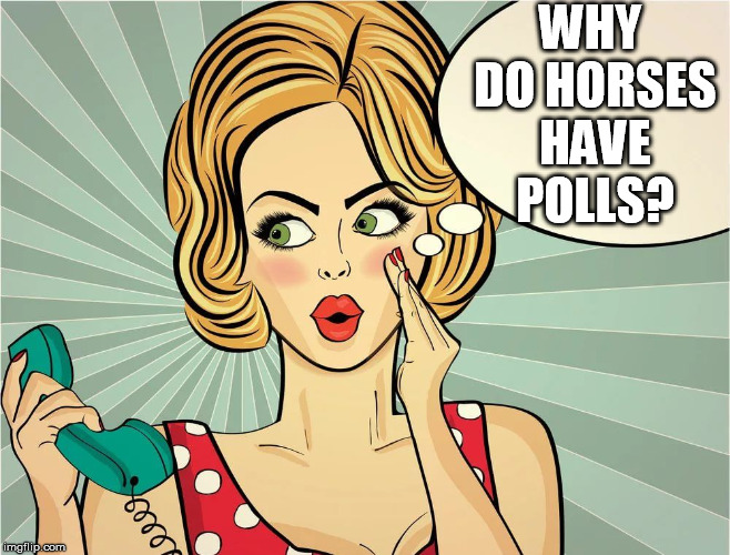 thought | WHY DO HORSES HAVE POLLS? | image tagged in thought | made w/ Imgflip meme maker