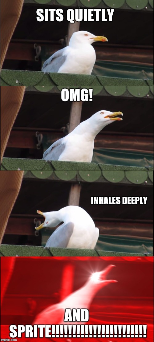 Inhaling Seagull | SITS QUIETLY; OMG! INHALES DEEPLY; AND SPRITE!!!!!!!!!!!!!!!!!!!!!!! | image tagged in memes,inhaling seagull | made w/ Imgflip meme maker